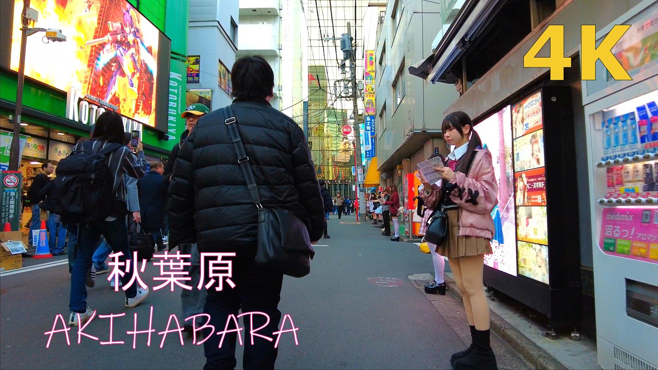 【4k】日曜日の秋葉原を散歩🧸walk in Akihabara Tokyo