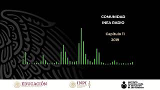 INEA INPI capítulo 11 2019