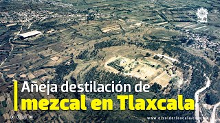 Aneja destilacion de mezcal en Tlaxcala