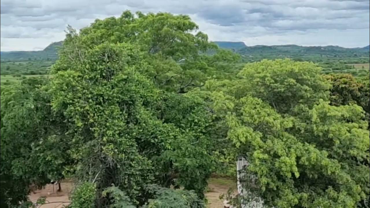 Chironga School, Dotito District, Mt Darwin, Zimbabwe YouTube