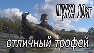 БЕГУ ОТ ПОВСЕДНЕВНОЙ СУЕТЫ. ЩУКА на 6.30 минуте.