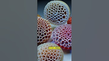 Why Are Some People Afraid of Holes? 🕳️ (The Truth About Trypophobia!)