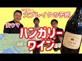 安旨❗️爆売れ！ハンガリーのトカイワイン（辛口）をテイスティング♪ 【美味ワイン発見#10】