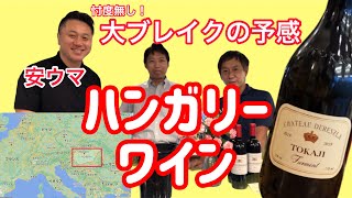 安旨❗️爆売れ！ハンガリーのトカイワイン（辛口）をテイスティング♪ 【美味ワイン発見#10】
