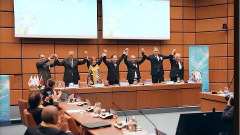 Upholding Transparency and Integrity Through Conscience and Hope