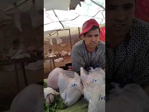 موال دجاج في سواق اوطاط الحج 2020