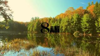 Raul Midon - Sunshine