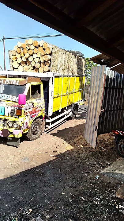 Tiga truk 26 juta | Kayu Sengon Super Rotary
