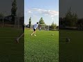 🎯