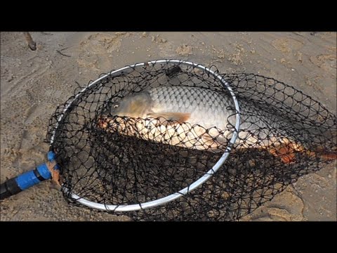 Рыбалка. Ловля карпа, карася, судака и красноперки . My fishing