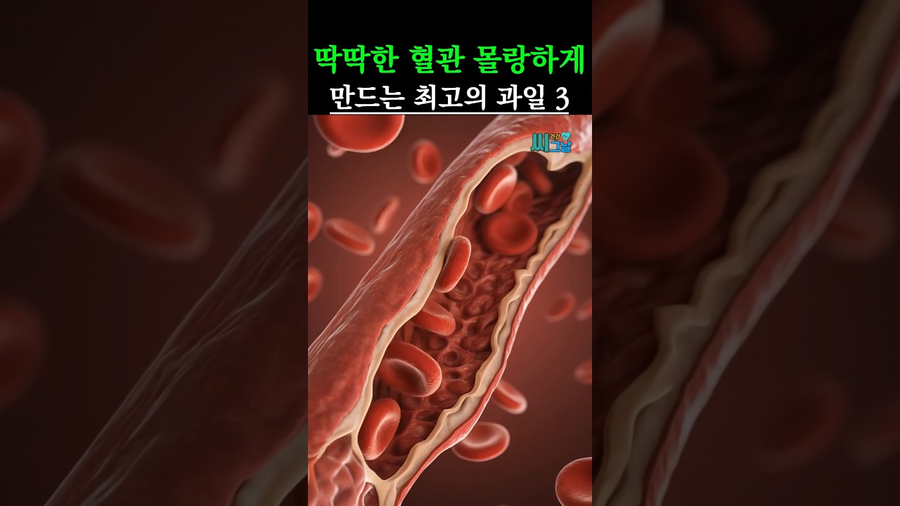 딱딱해진 혈관, 몰랑몰랑하게 만들어주는 과일 3가지 #건강 #건강정보 — Transcript