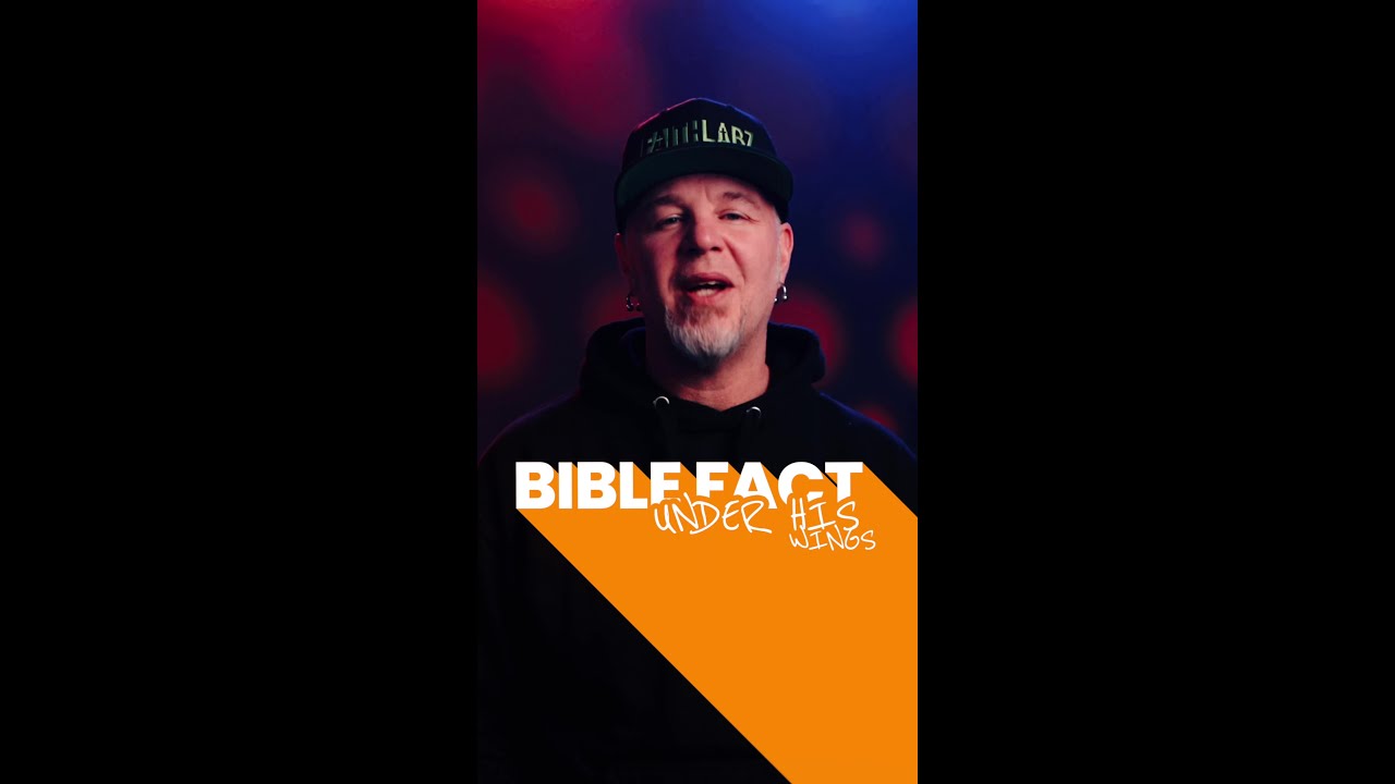 BIBLE FACT: UNDER HIS WINGS