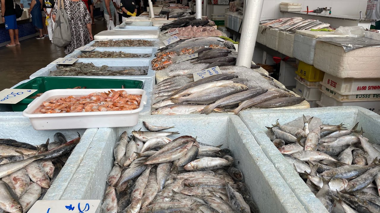 Festival da Sardinha So 10.00 Reais no Mercado do peixe.Santos S.P