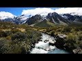 Top 5 Neuseeland Highlights, die Du nicht verpassen darfst!