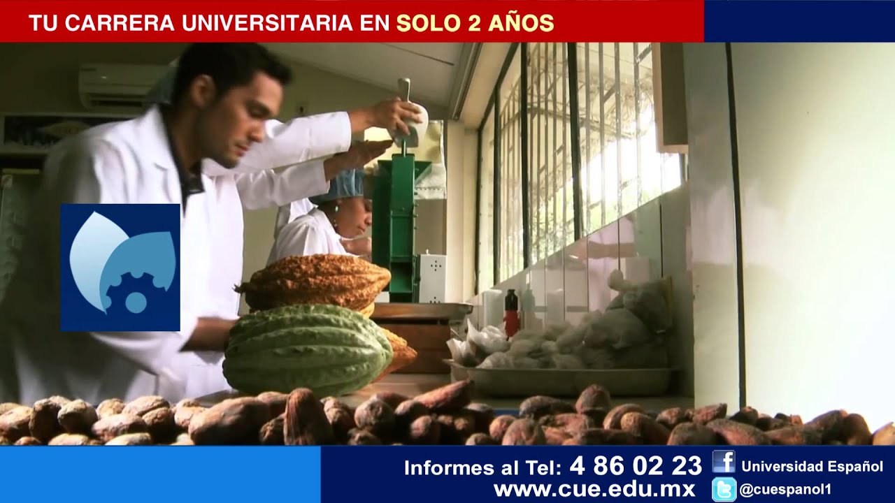 formación académica no reglada 01 TSU UNIVERSIDAD ESPAÑOL