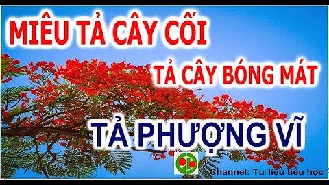 Bài văn mẫu Tả cây phượng vĩ trường em | Tả cây bóng mát  | Tư liệu tiểu học