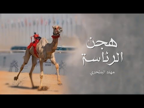 هجن الرئاسة اعلنت شارة خطر - مهند البطحري (حصرياً) | 2020