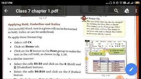 Class 7 - Chapter 1- Formatting Cell Content in MS Excel - Part 3 - By Mrinal Pandey