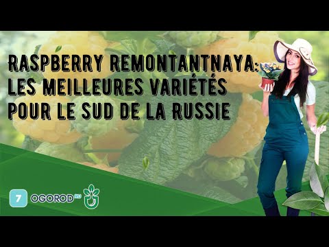 Vidéo: Où poussent les noisettes en Russie : conditions nécessaires, caractéristiques de la culture et de la récolte