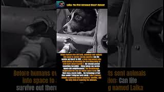 Laika: The First Astronaut Wasn’t Human! 🚀🐕 | #didyouknow #facts #shotrs #space