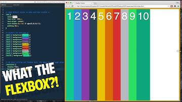 Introduction to Flexbox! - Tutorial 2 of 20 💪