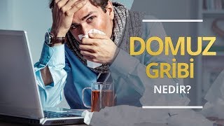 Domuz Gribi Nedir? - Uzm. Dr. Kürşat Epöztürk