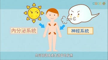 108新課綱｜七上生物｜【討論】神經系統和內分泌系統會共同協調生理反應