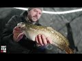 How to clean a burbot