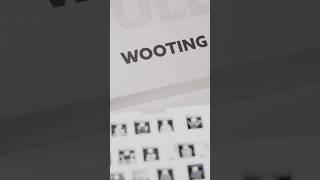 Wooting 80HE preview and sound test #wooting80he #wooting #mechkeyboard