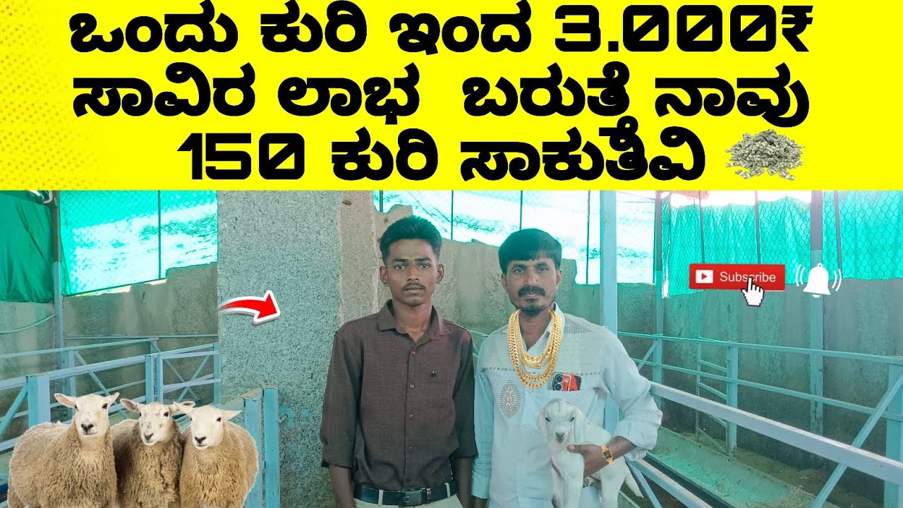 ಬರೀ ಕುರಿಗಳಿಂದ ತಿಂಗಳಿಗೆ ಒಂದು ಲಕ್ಷ ಆದಾಯ ಮಾಡುತ್ತಿರುವ ರೈತರು 