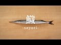 鱵（さより）のさばき方 - How to filet Halfbeak -｜日本さばけるプロジェクト