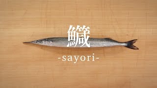 釣れる高級魚 サヨリ とは その釣り方や美味しい食べ方をご紹介 暮らし の