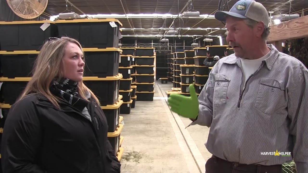 How to Buy & Sell Hemp - Big Top Farms