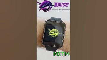 #brucefirmware #lilygo #hackergear #hackingtools #flipperzero t watch plus