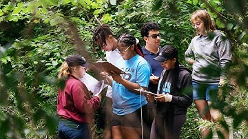 This Is Michigan | Creating Healthier Environments