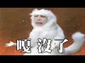 蔡阿嘎似顏繪事件／嘎哥護衛軍GArmy｜老鵝特搜#1826