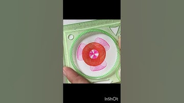 #spirograph #shortvideo #shortsfeed #art #asmr #satisfying #calmdown