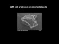 [Life] SEM-EDX analysis of environmental dusts