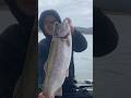 TROUT FISHING AT COLLINS LAKE
