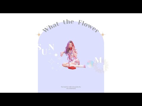 【繁中】Sunmi 宣美 - What the flower 中文歌詞