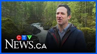 Watershed forestry management pilot project aims to bring balance to the Koksilah River region