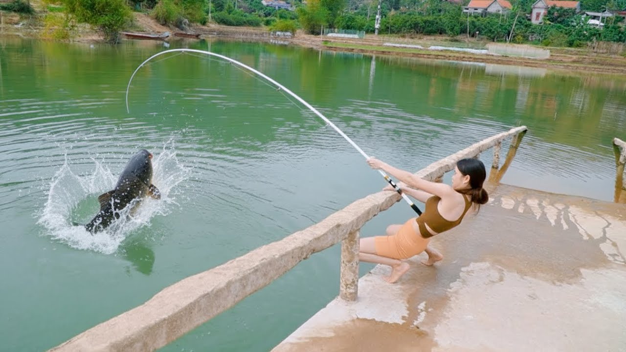 Hana Fishing | ASMR Fishing – Catching a MONSTER carp on a hook with a float