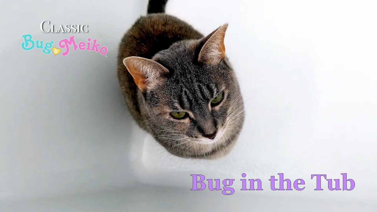 Bug in the Tub | Classic Bug & Meiko