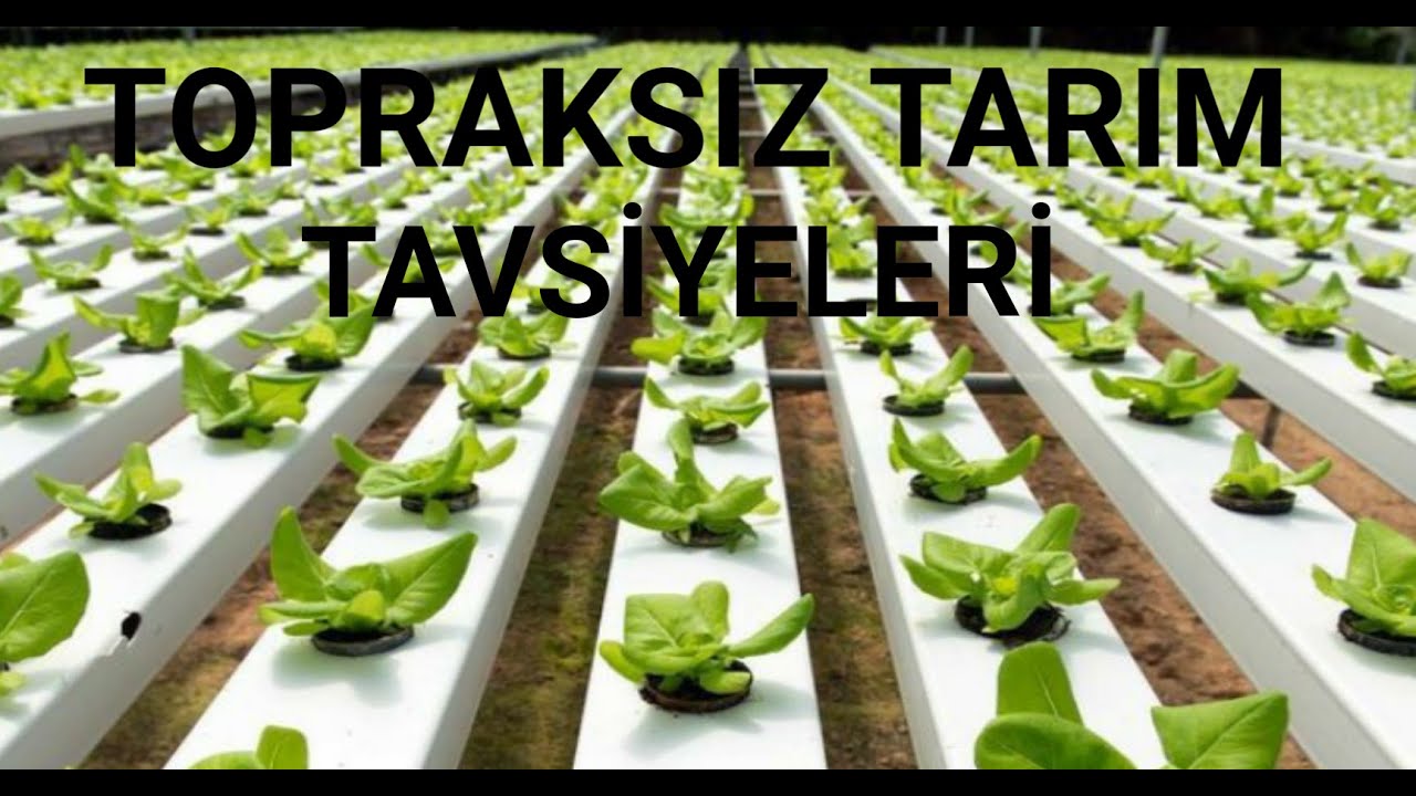 Topraksız tarım TAVSİYELERİ.