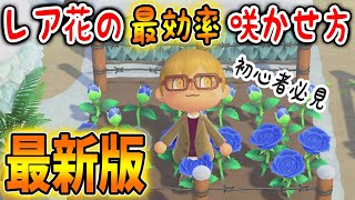 【あつ森】最新版！レア花・青バラの交配・増やし方・咲かせ方！初心者でも手順に沿ってやれば確実に咲かせることができるぞ！【あつまれどうぶつの森/Animal Crossing】