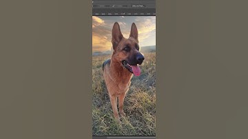 How to Import Custom Shapes in Photoshop Using Shapes Panel
