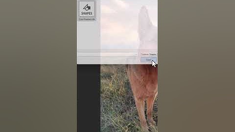 How to Import Custom Shapes in Photoshop Using Shapes Panel