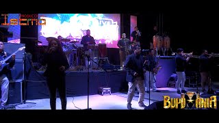 EVIDENCIAS - La BUPUMANIA (En Vivo) ¡Para Bailar!