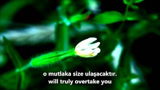 62-Cuma Sûresi/ Friday (Ahmet el Acemi) HD