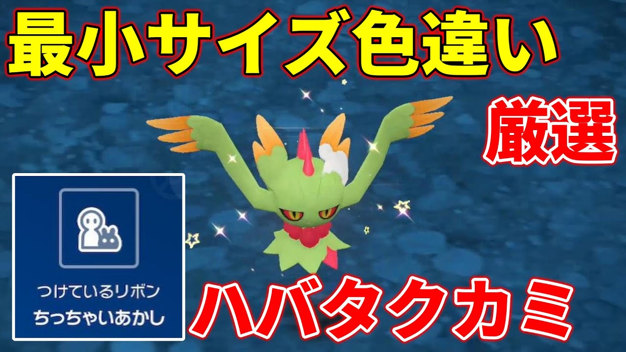 ポケモンSV】最小サイズの色違いハバタクカミ厳選！【ゆっくり実況 